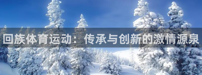 a8体育app官网入口：回族体育运动：传承与创新的激情源泉