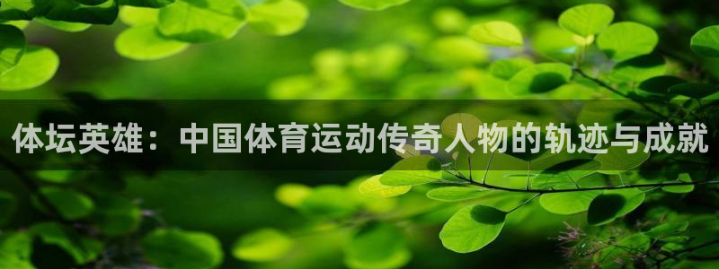 a8体育安卓：体坛英雄：中国体育运动传奇人物的轨迹与成就
